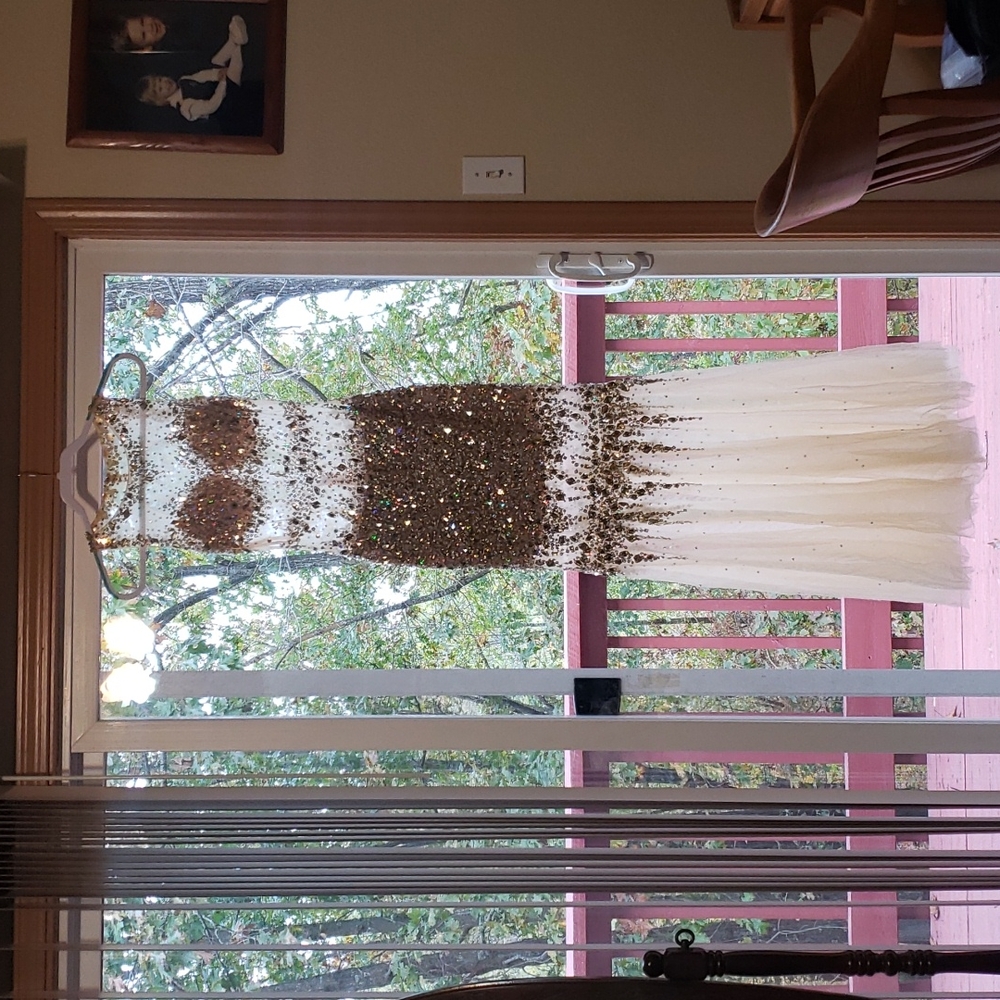 Cinderella size 4 hand beaded one of a kind dress